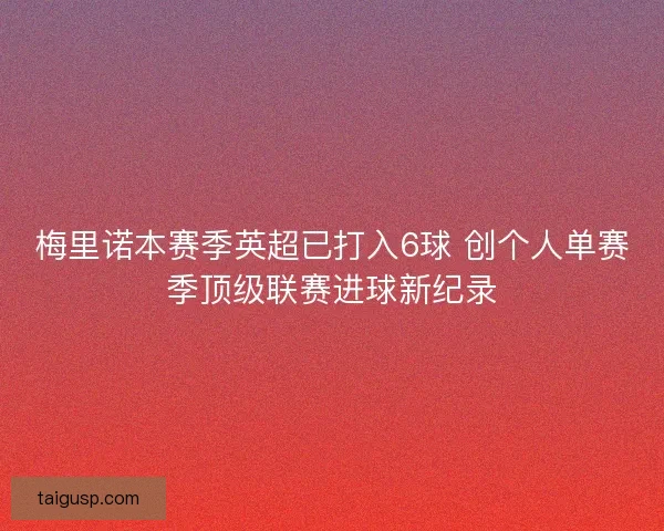 梅里诺本赛季英超已打入6球 创个人单赛季顶级联赛进球新纪录