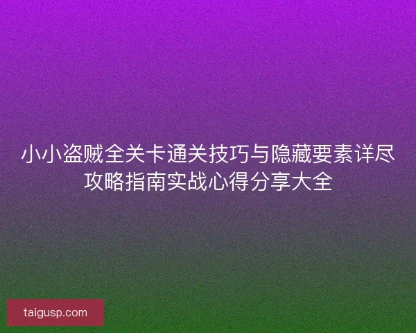 小小盗贼全关卡通关技巧与隐藏要素详尽攻略指南实战心得分享大全